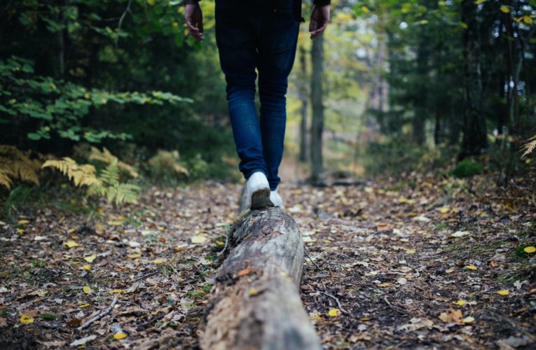 Tips for Balancing your Hormones Naturally  in Whitt